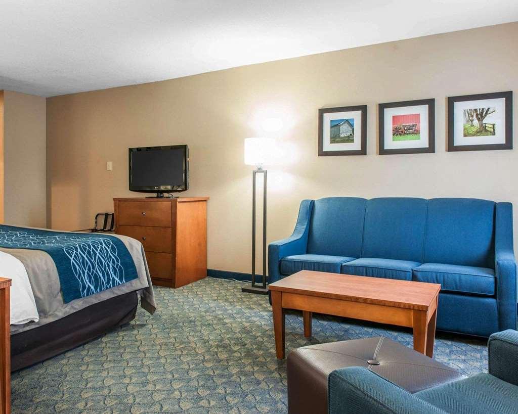Comfort Inn&Suites Napoleon Rom bilde
