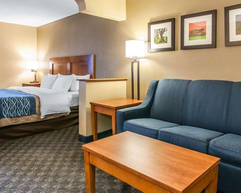 Comfort Inn&Suites Napoleon Rom bilde