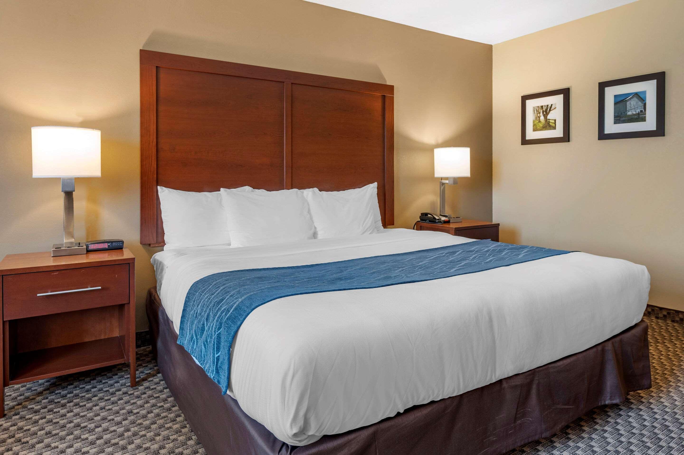 Comfort Inn&Suites Napoleon Eksteriør bilde