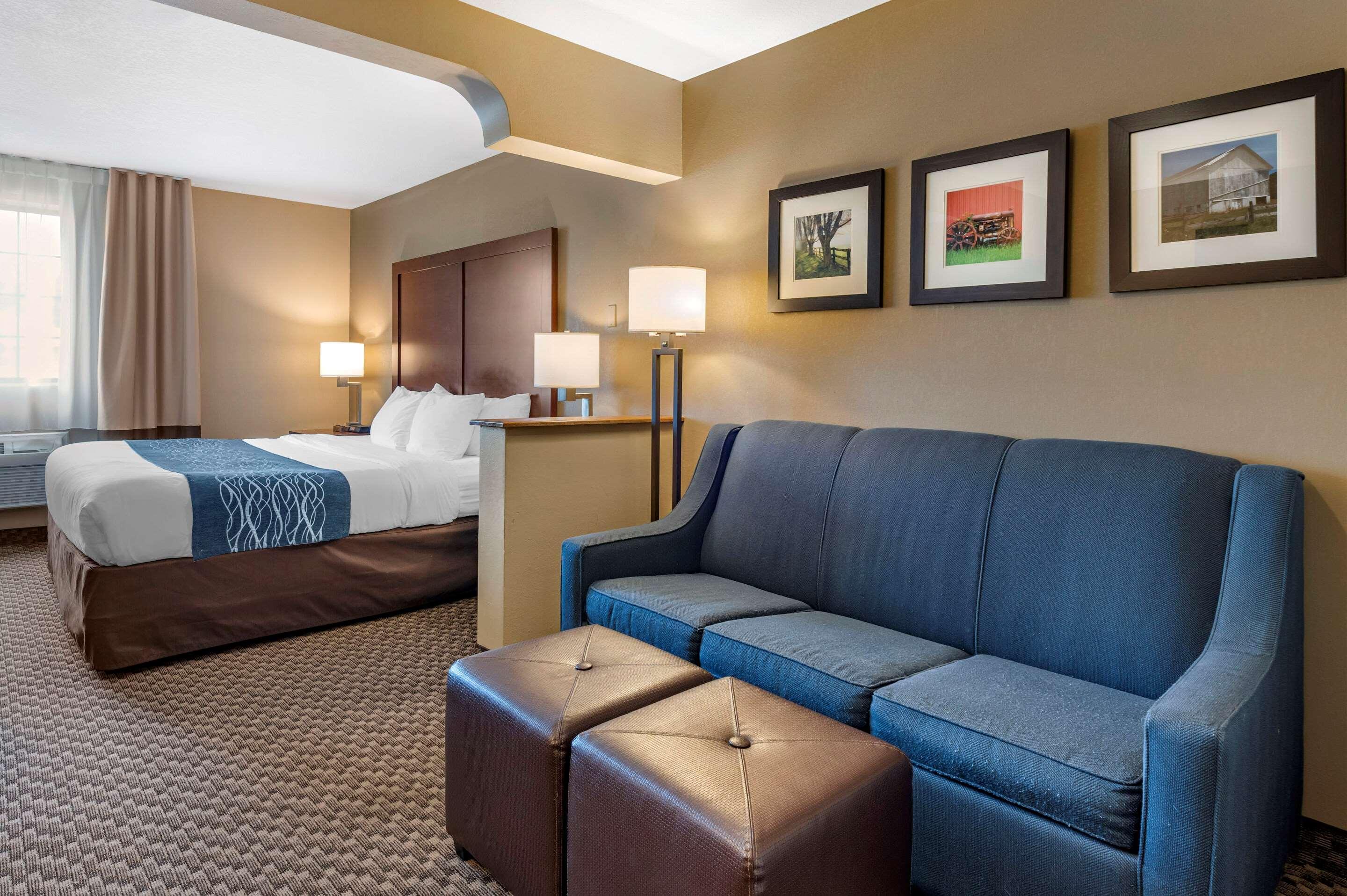 Comfort Inn&Suites Napoleon Eksteriør bilde